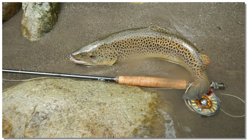 Fiume Tanaro - Turi Pesca Hotel San Carlo Ormea CN