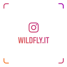 wildfly.it su instagram