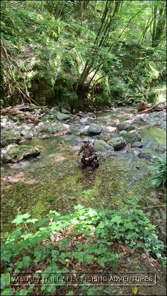 Mimetismo nella pesca a Mosca