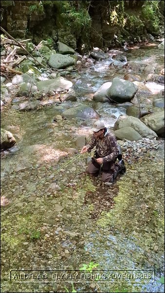 Mimetismo nella pesca a Mosca