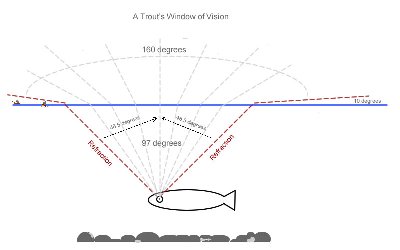 Mimetismo nella pesca a Mosca